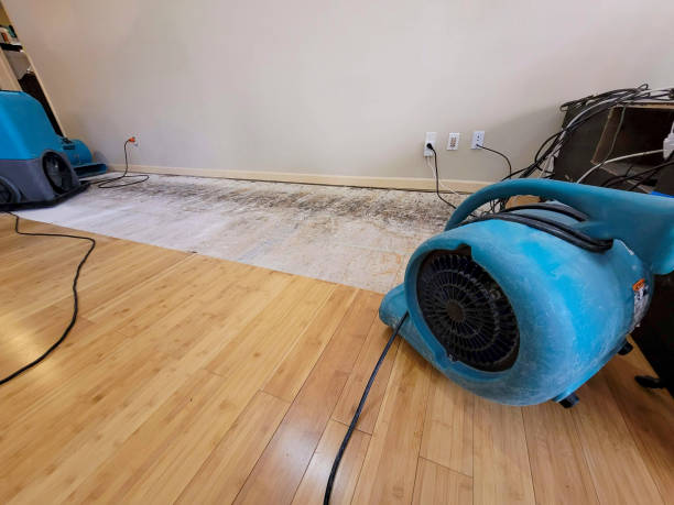 Professional Water Removal technician working in Concord, MA